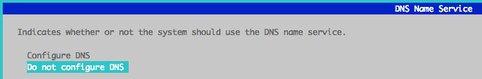 Do not configure DNS