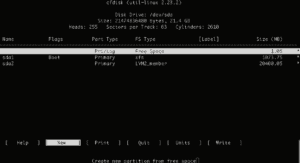 Cfdisk как пользоваться linux