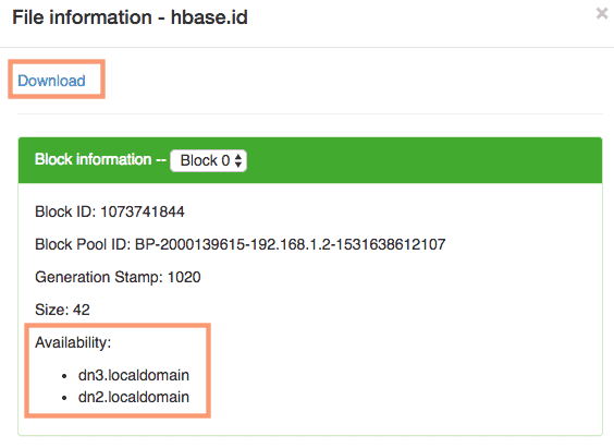 download a file from namenode UI from HDFS HDPCA