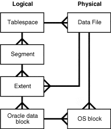 logical and physical database structures oracle