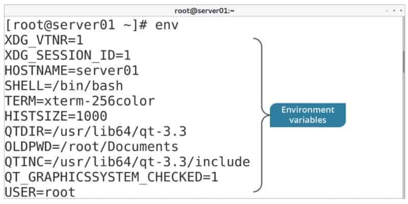 Linux Check If Env Var Is Set