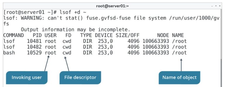 lsof-command-examples-in-linux-the-geek-diary