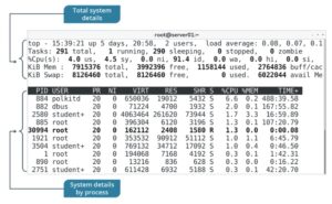 Top Command Examples In Linux – The Geek Diary