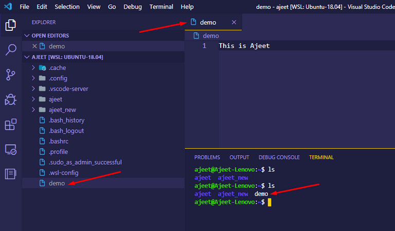 File created by VS Code inside WSL