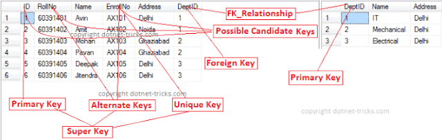 primary key Vs Unique Key in SQL